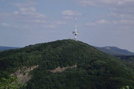 Fernsehturm von weitem auf hohem Berg mit Wald